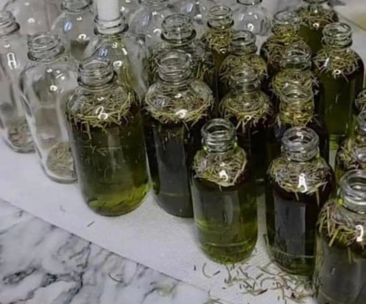 روغن رزماری دکتر رزا ضدریزش مو و تغذیه کننده ۳۰میل